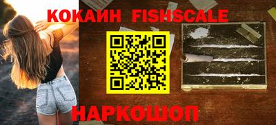 крисы Бийск