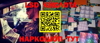крисы Бийск