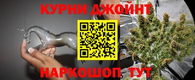 крисы Бийск