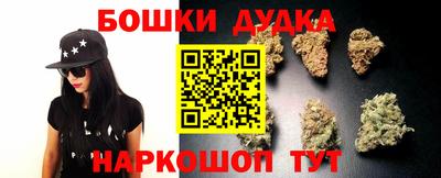крисы Бийск