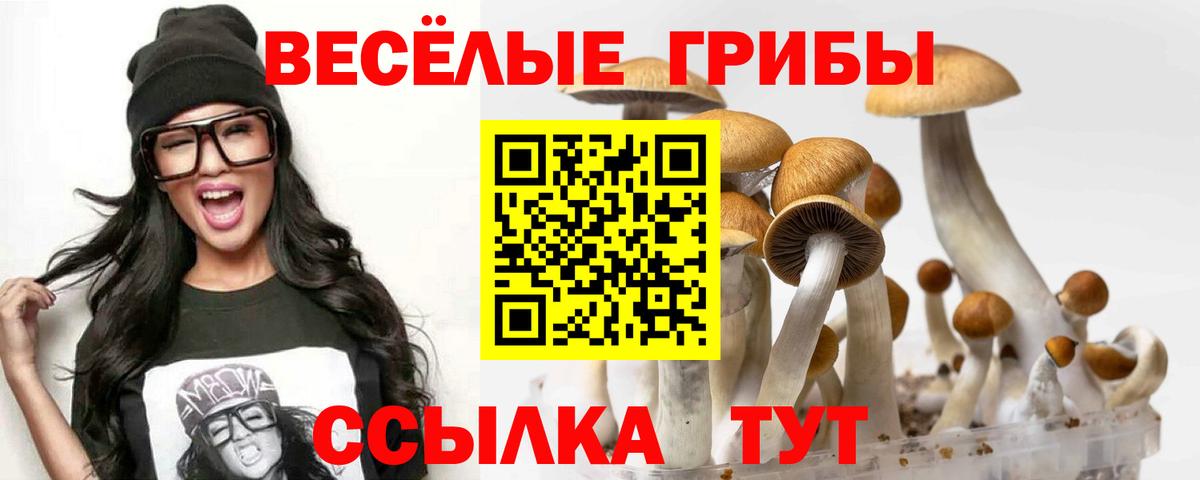 Кирово-Чепецк  Галлюциногенные грибы GOLDEN TEACHER  Вход с VPN  Галлюциногенные грибы прущие грибы 